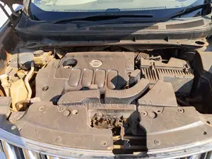 Nissan Murano 2010 Gray