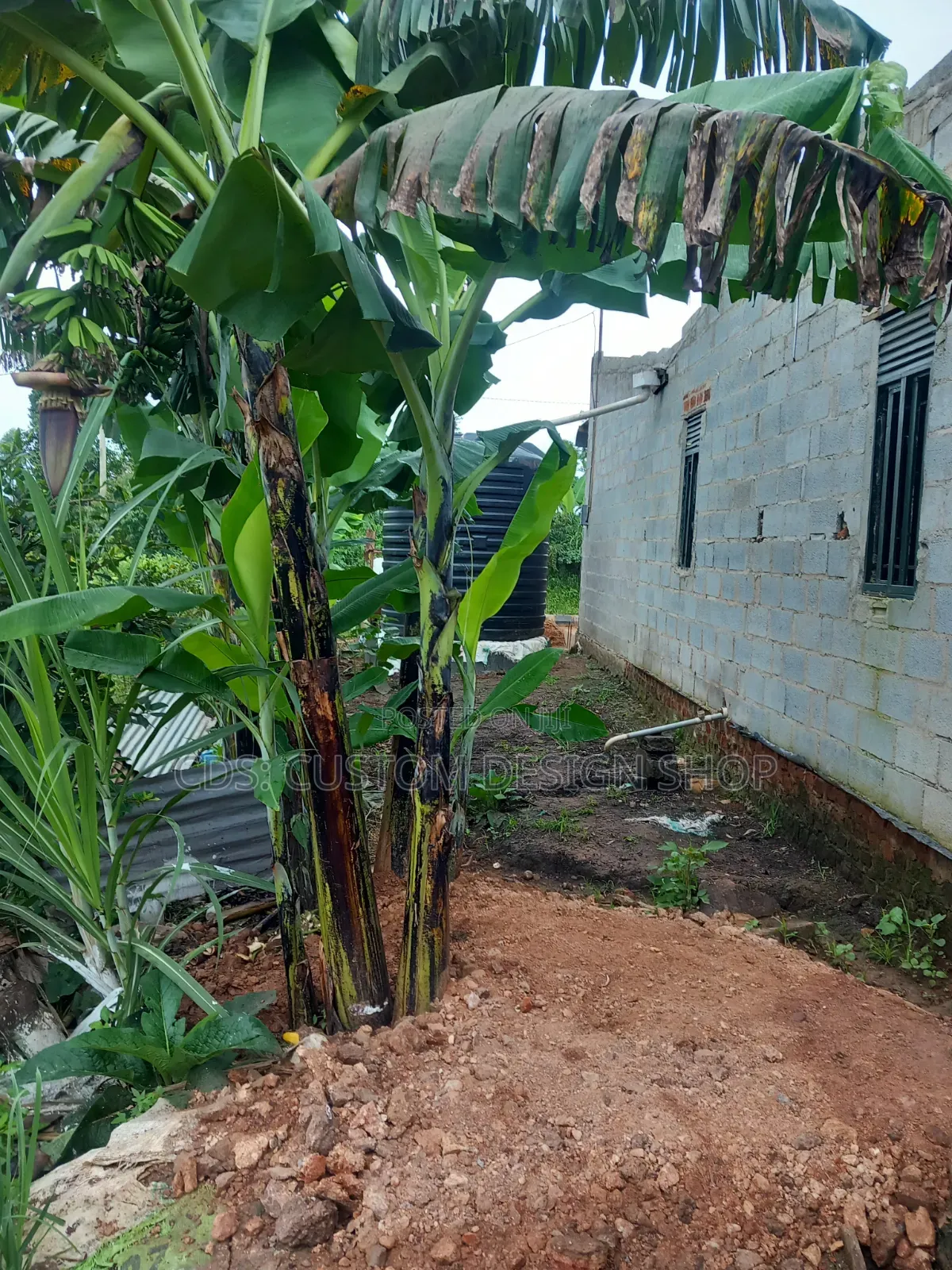 Direct Owner Commercial Shop and Storage Structure