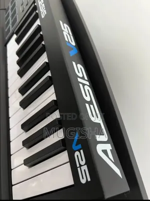 Alesis V25