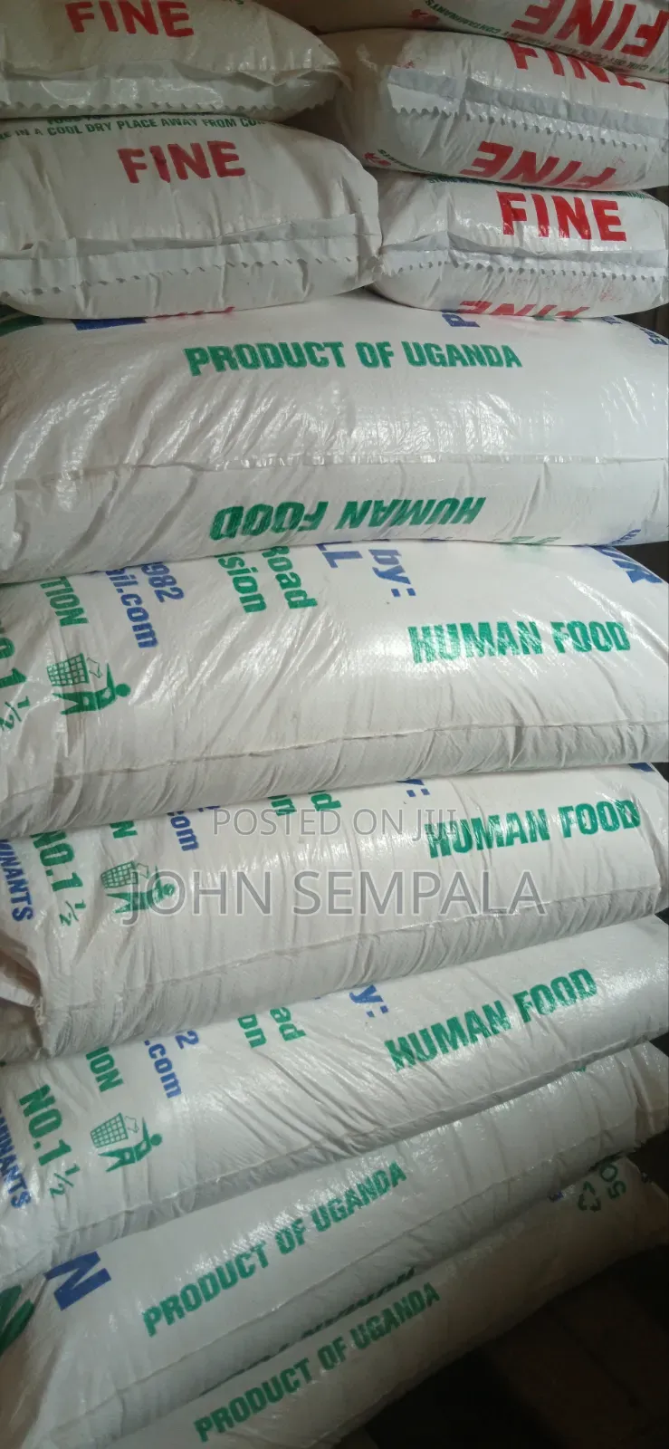 Maize Flour