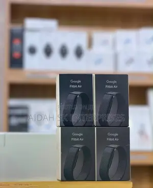 Google Fit Bit Air
