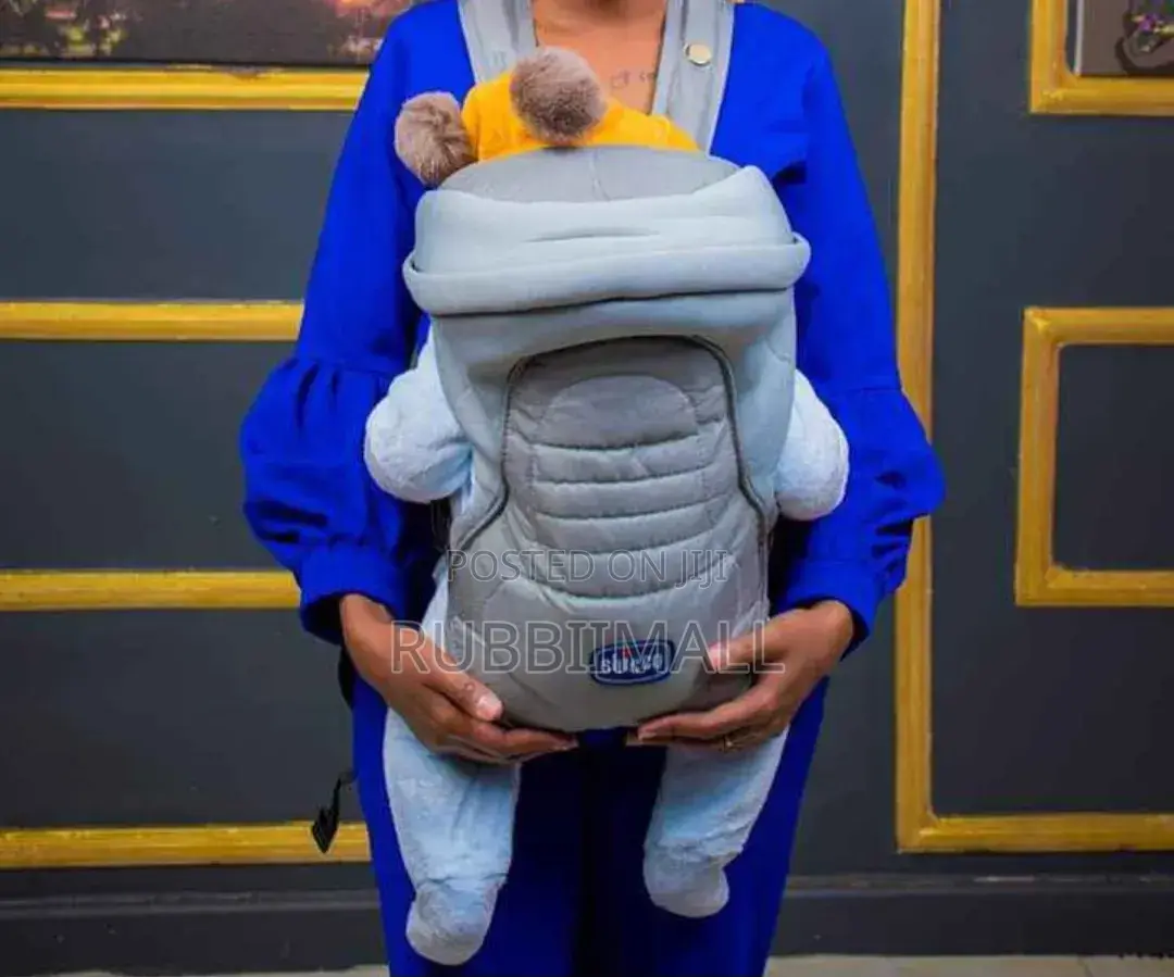 Chicco Baby Carier