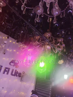 Green and Purple/Pink Filament Bulb