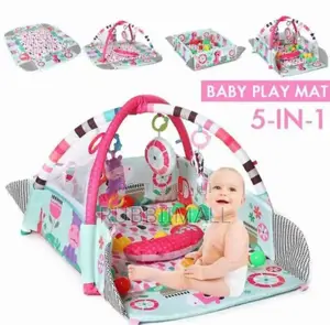 Baby Play Activity Gym