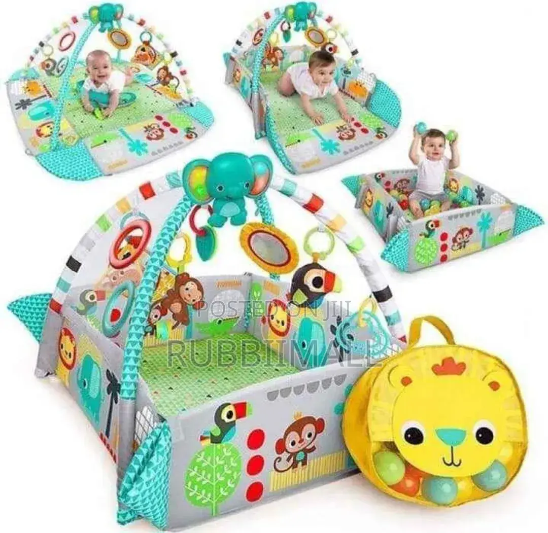 Baby Play Activity Gym