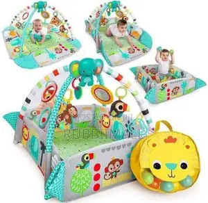 Baby Play Activity Gym