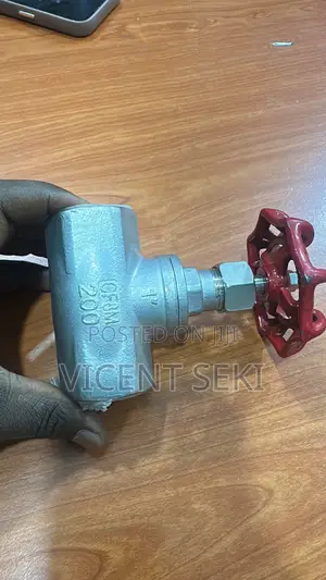Stainless Steel Gate Valves