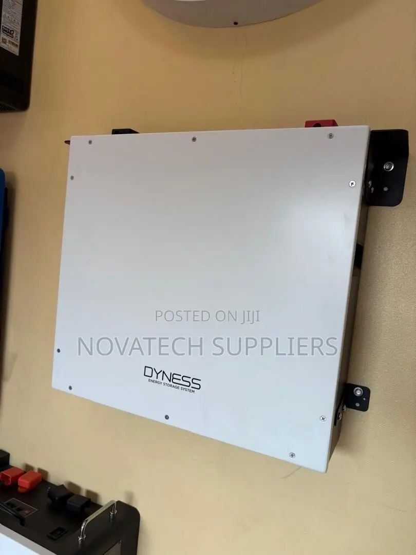 Dyness 51.2V 5.12kWh Lithium Battery – Wall/Rack Mount