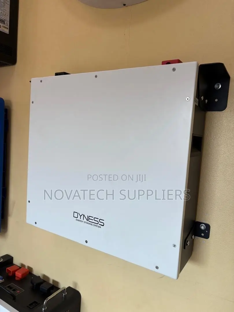 Dyness 51.2V 5.12kWh Lithium Battery – Wall/Rack Mount