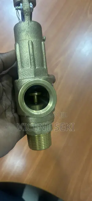 Bronze Safety Valves