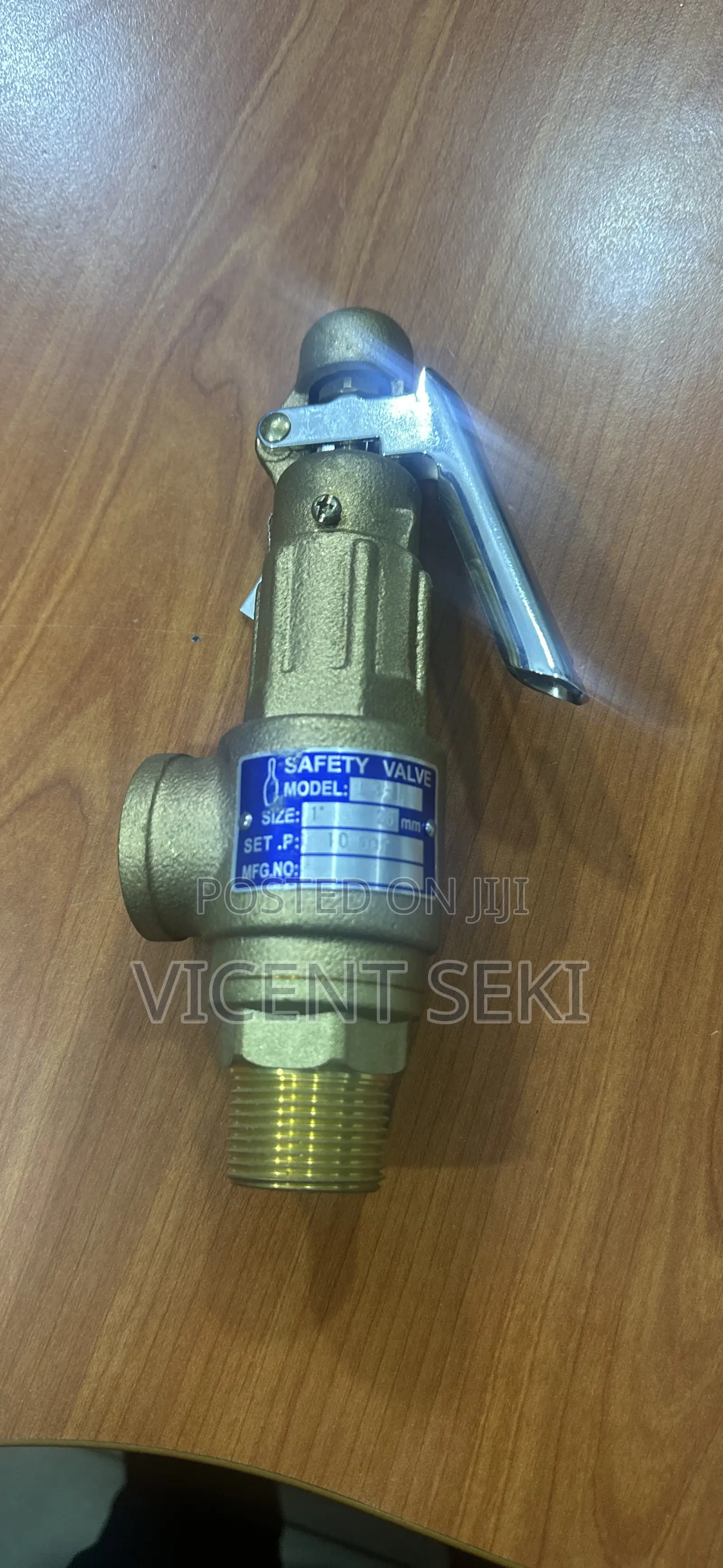 Bronze Safety Valves