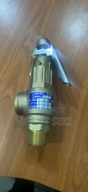 Bronze Safety Valves