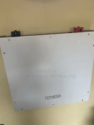 Dyness 5.12kWh 51.2V 100Ah LiFePO4 Battery – 6000+ Cycles