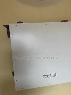 Dyness 51.2V 5.12kWh Lithium Battery – Wall/Rack Mount