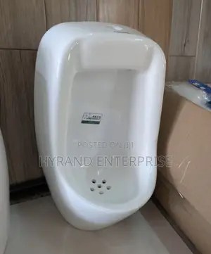 Automatic Urinals