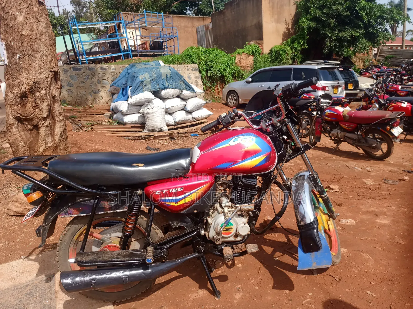 Bajaj CT 125X 2023 Red