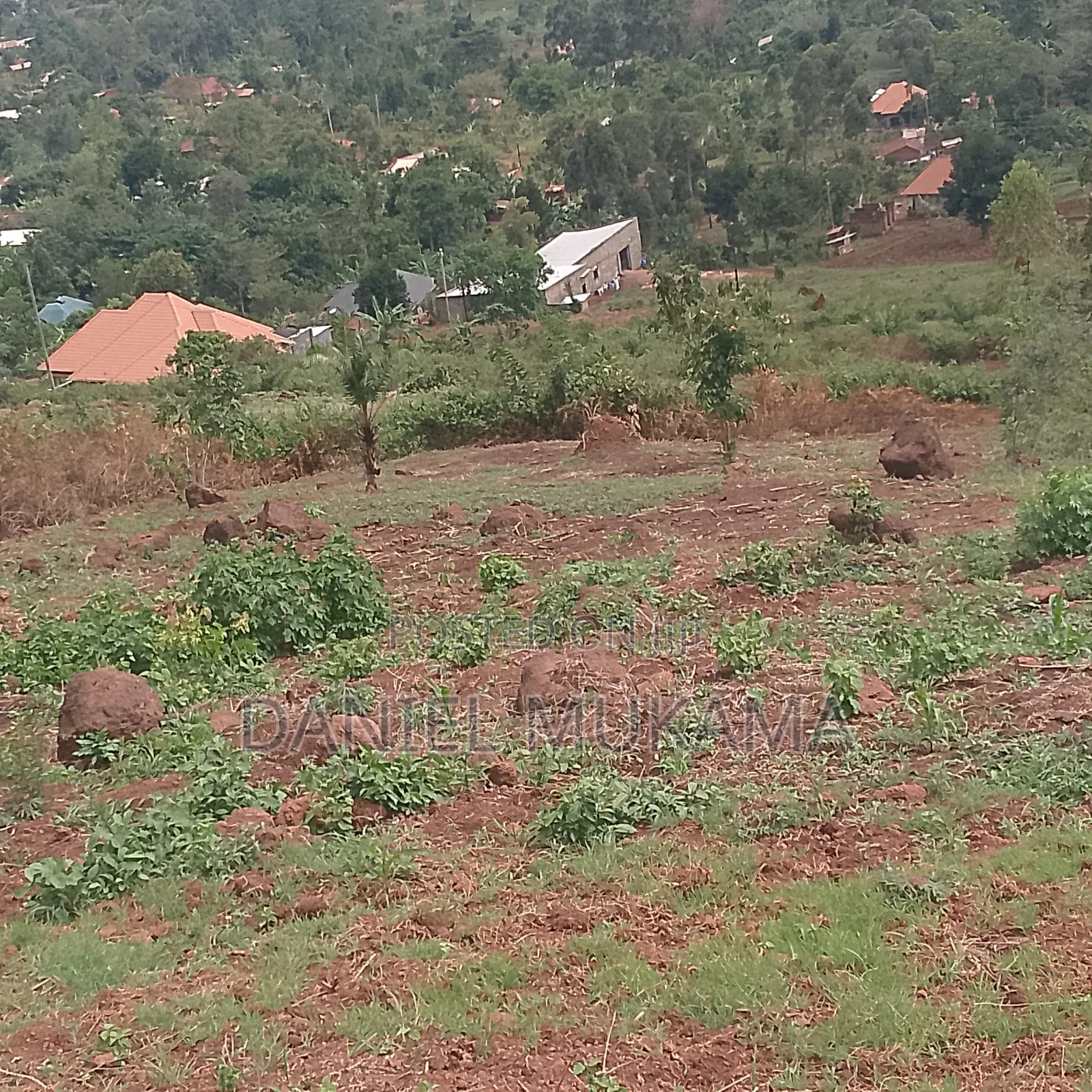 Mailo Land With Title