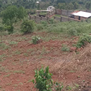 Mailo Land With Title