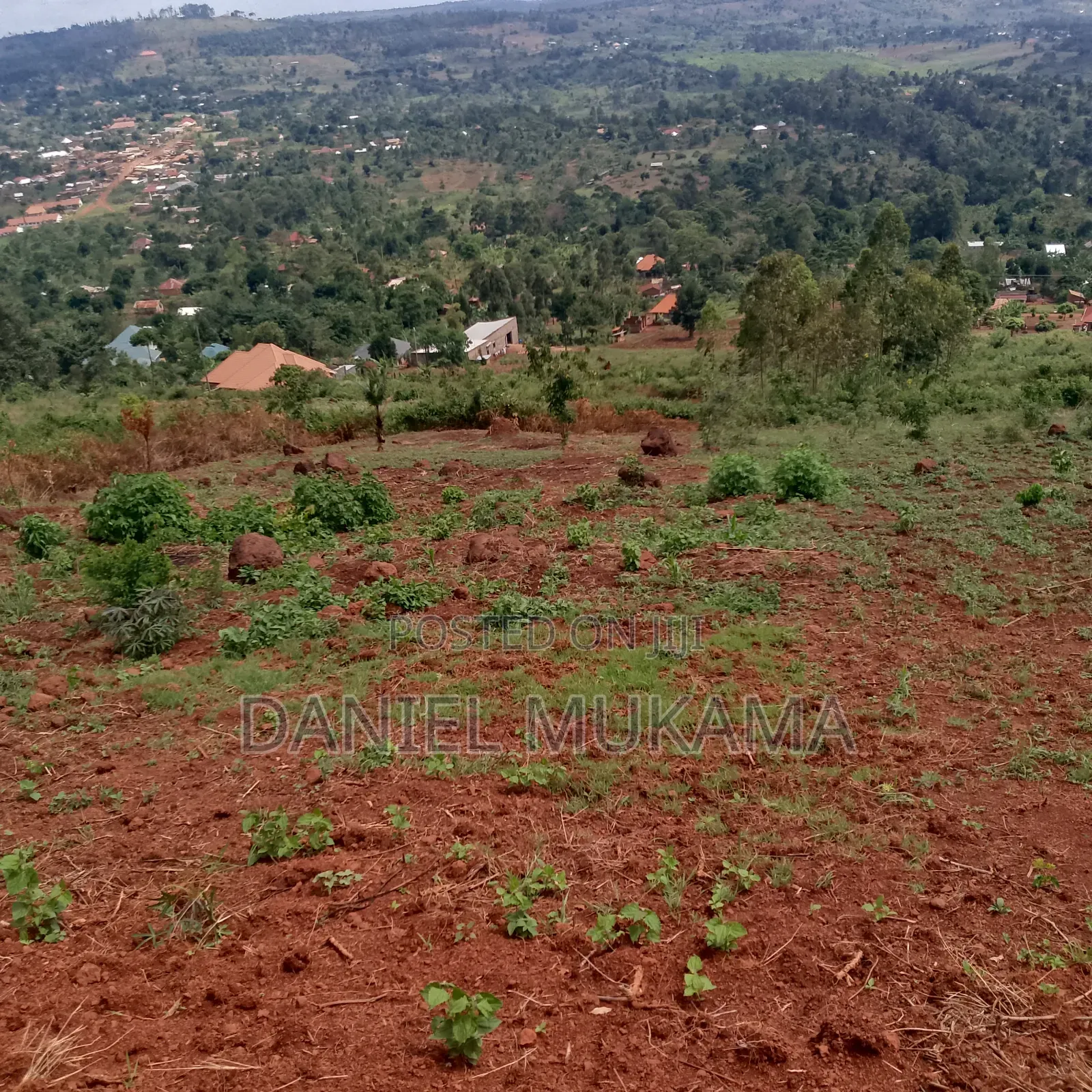 Mailo Land With Title