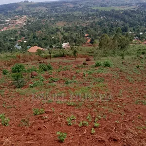 Mailo Land With Title