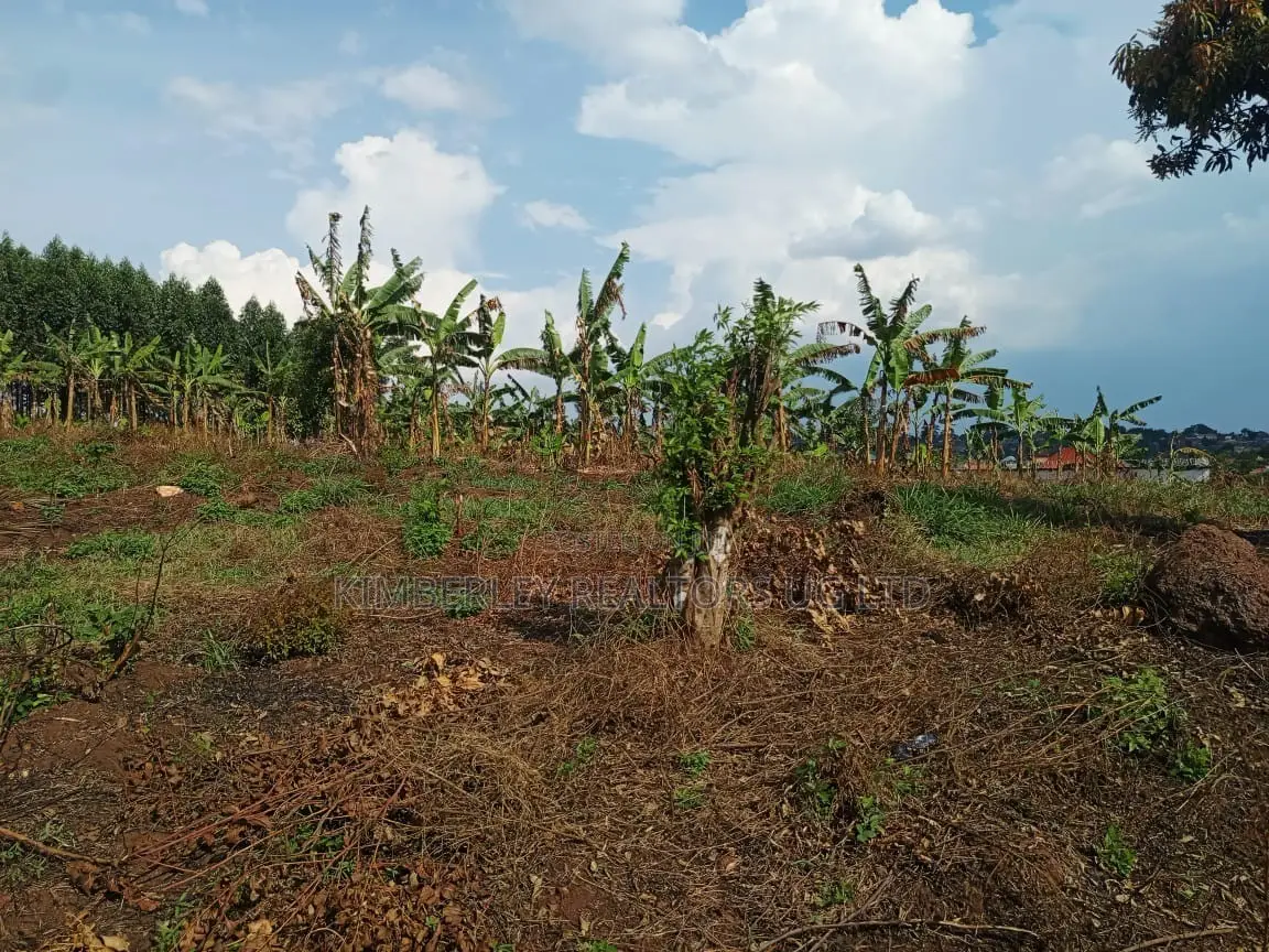  3 Acres of Land for Sale – Kigogwa