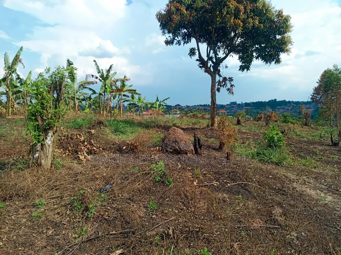  3 Acres of Land for Sale – Kigogwa