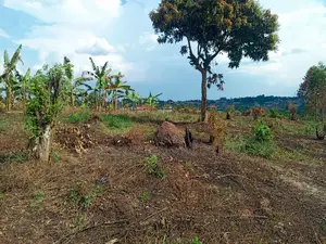  3 Acres of Land for Sale – Kigogwa