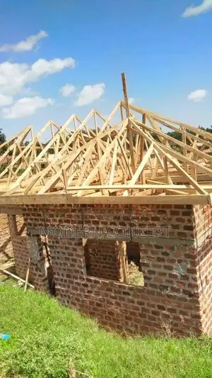 Do You Want to Roof Your House