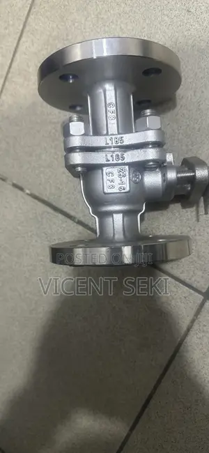 Ss Flanged Ball Valve