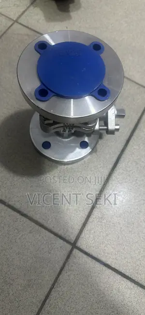 Ss Flanged Ball Valve