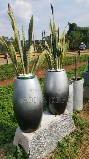 Smooth Flower Pots