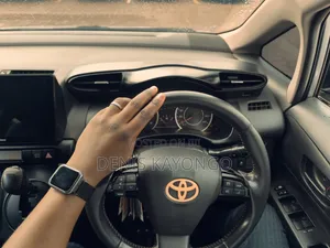 Toyota Wish 2011 Gray