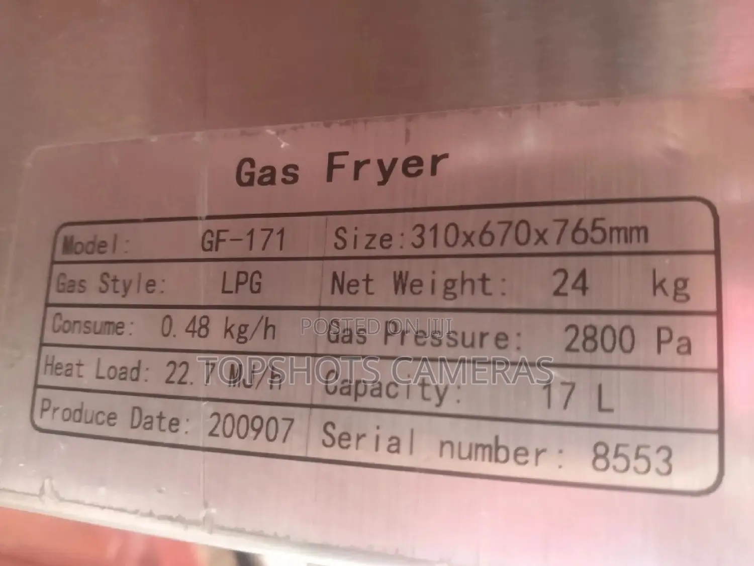 Linkrich Gas Deep Fryer