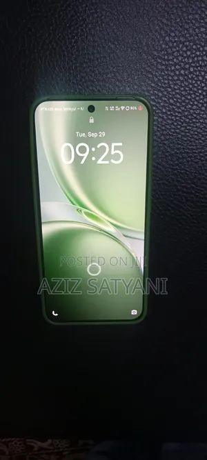 Vivo X300 256 GB Green
