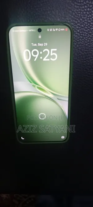 Vivo X300 256 GB Green