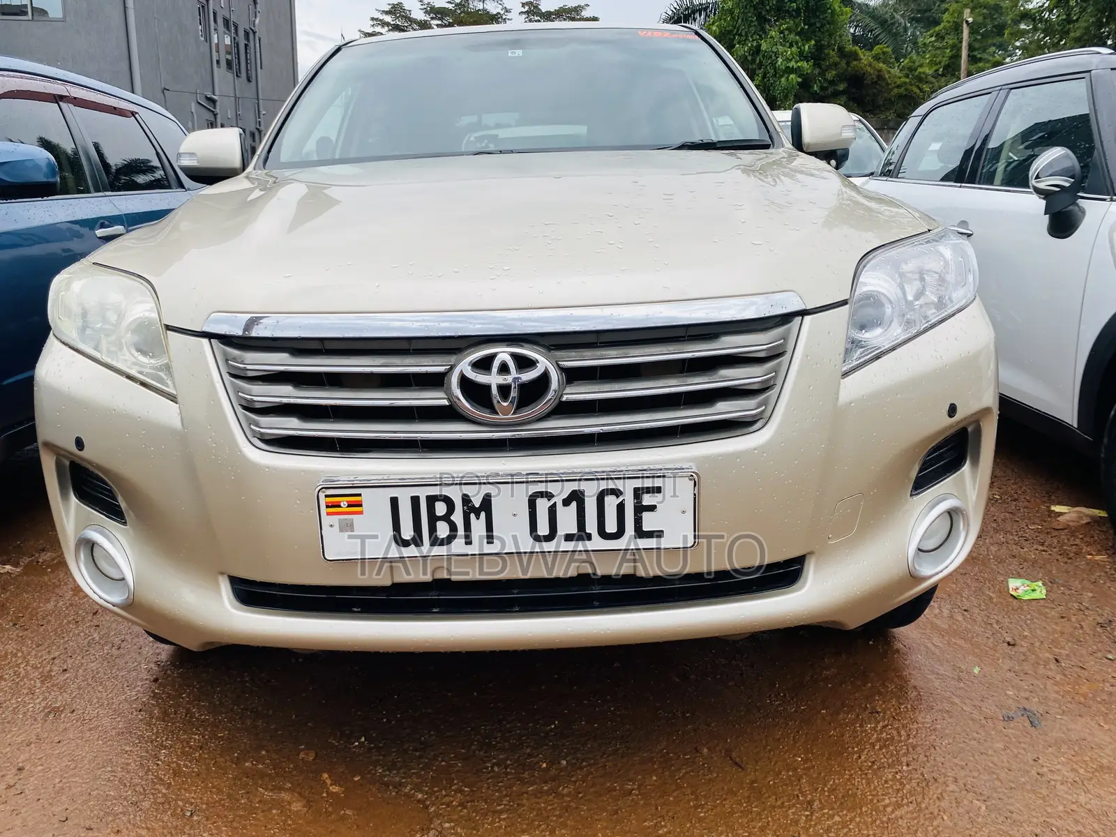 Toyota Vanguard 2011