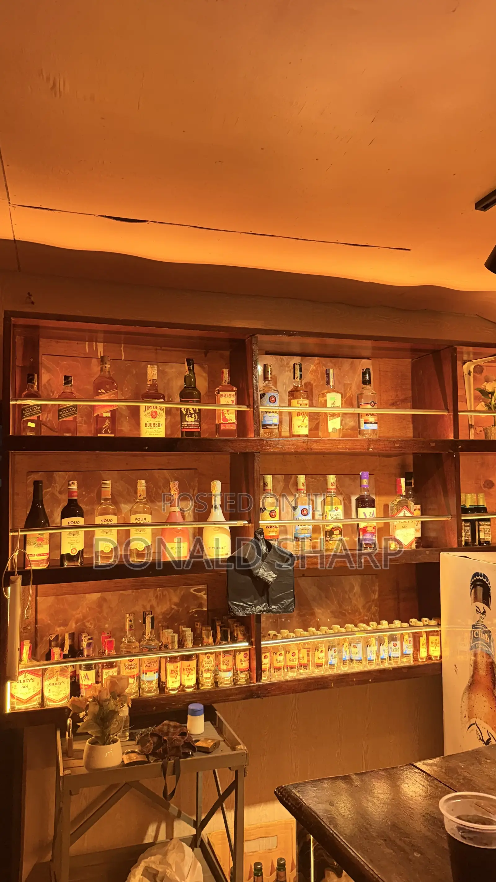 Bar Attendant (Female)