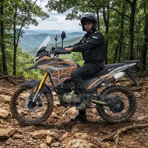 New SINORAY SR250-ADV 2025 Orange