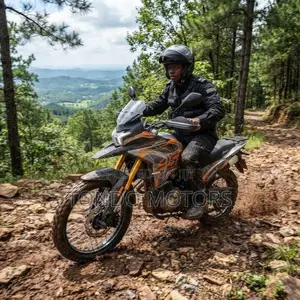 New SINORAY SR250-ADV 2025 Orange