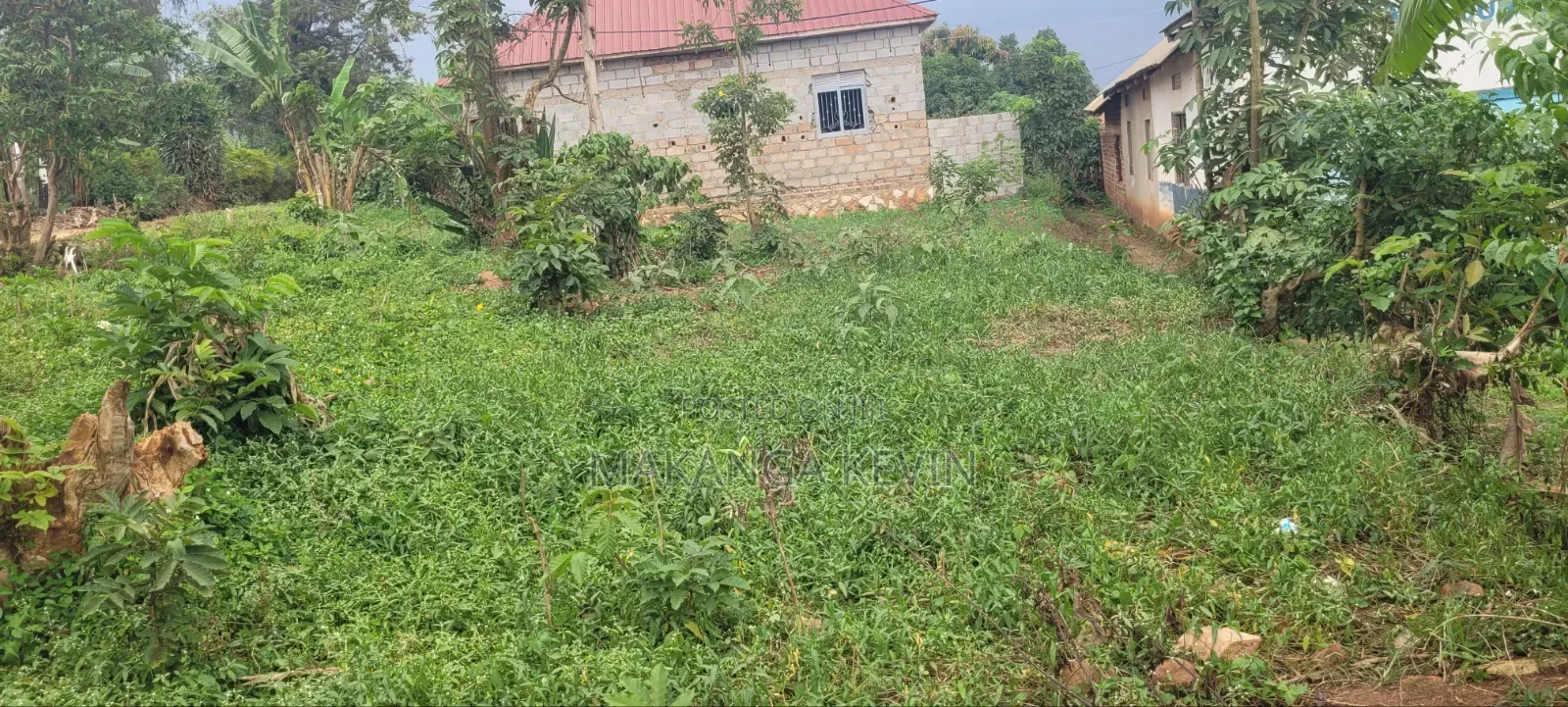 Plot of Land 50*60