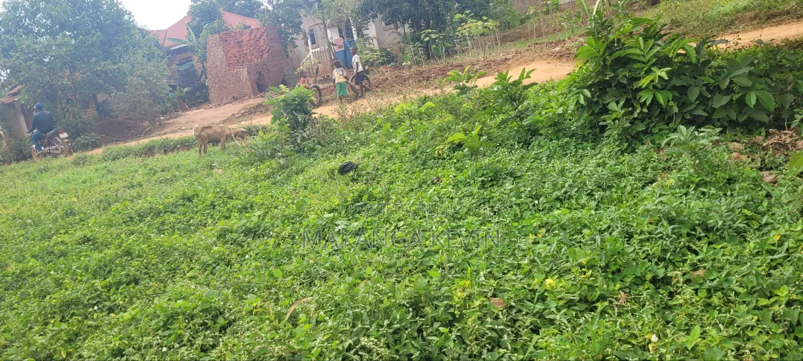 Plot of Land 50*60