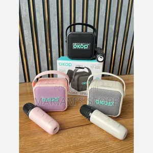 Wireless Karaoke Speaker System