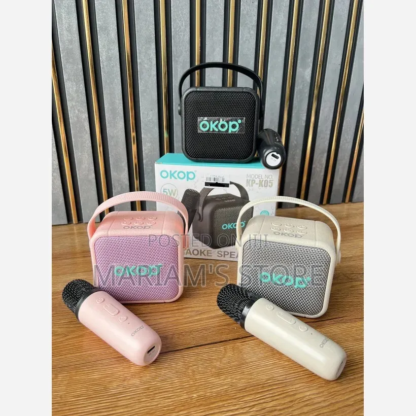 Wireless Karaoke Speaker System