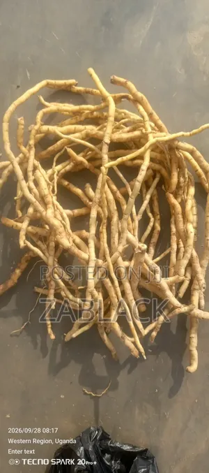 Herbal Supplement