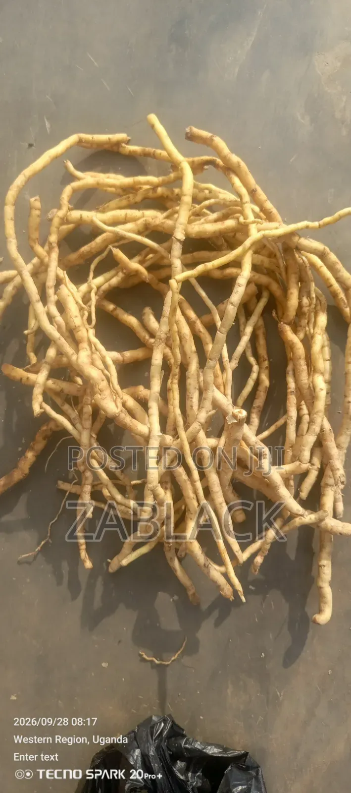 Herbal Supplement