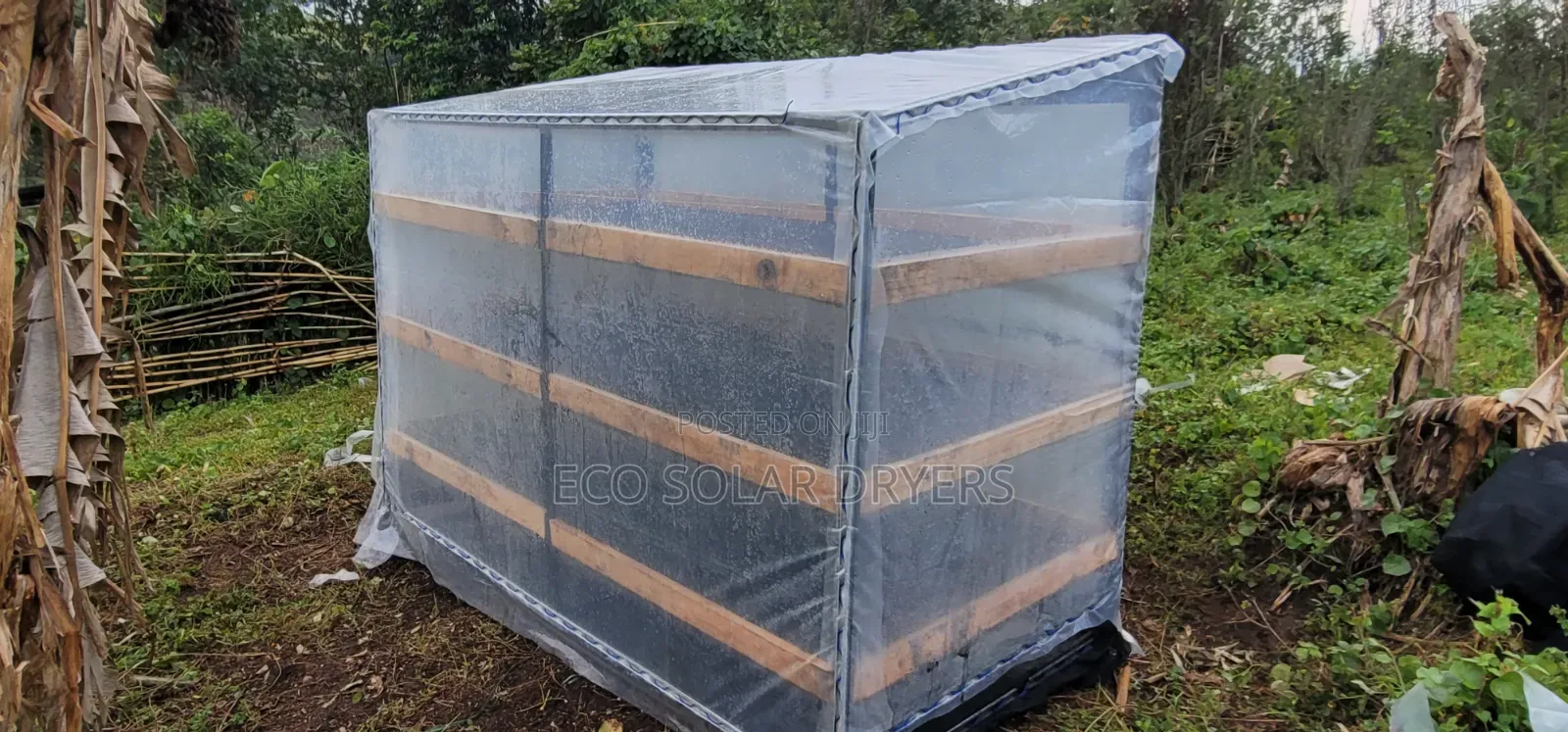 Eco Solar Driers in Uganda