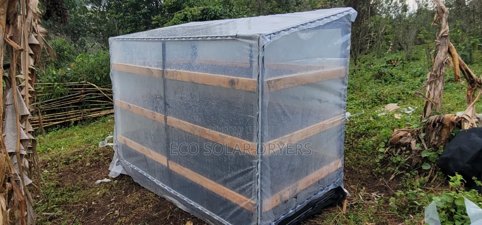 Eco Solar Driers in Uganda