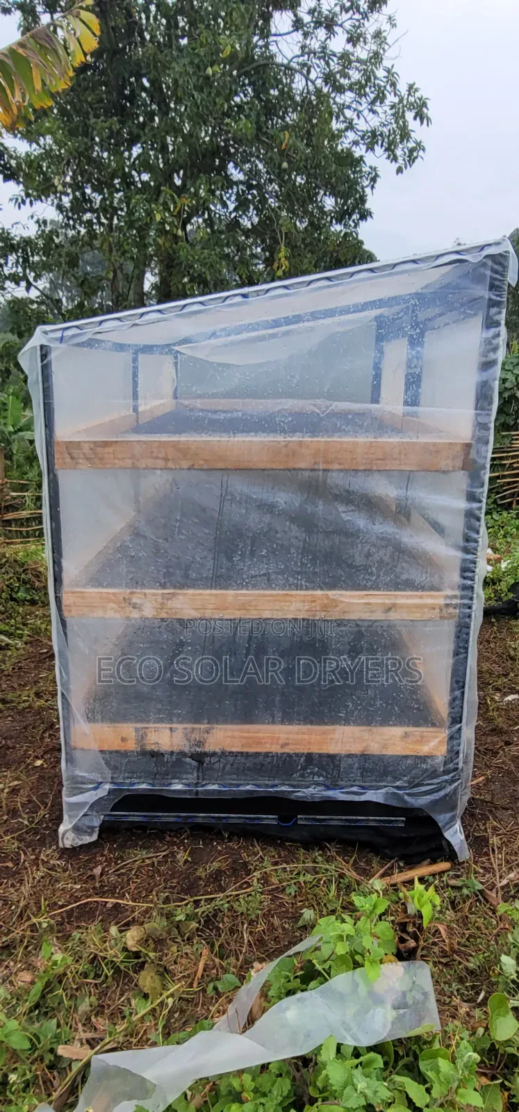 Eco Solar Driers in Uganda