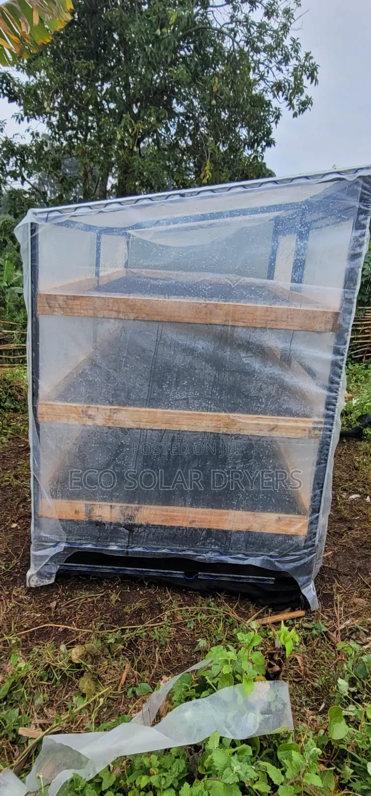 Eco Solar Driers in Uganda