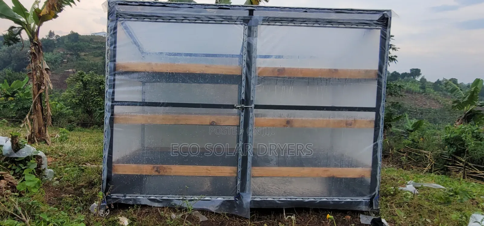 Eco Solar Driers in Uganda